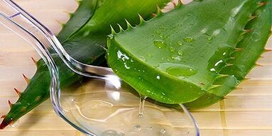 Aloe-Saft zur Behandlung von Krampfadern an den Beinen